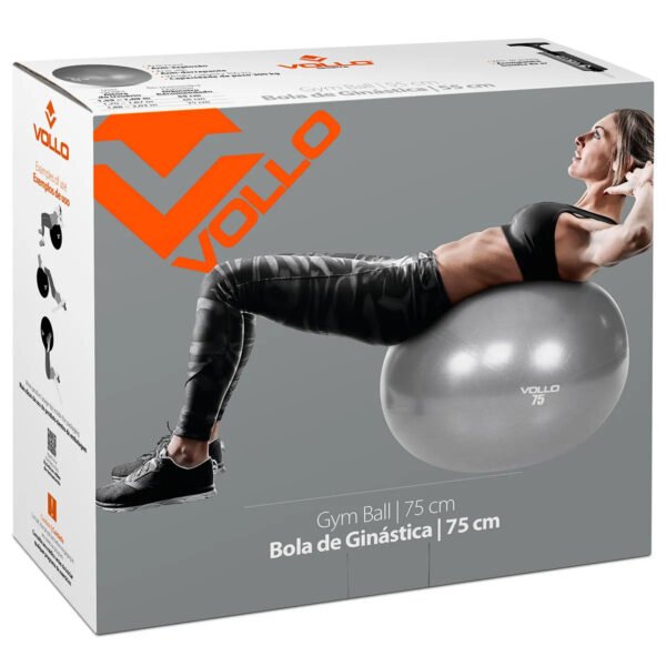 BOLA DE GINÁSTICA C/ BOMBA 75CM CINZA VOLLO