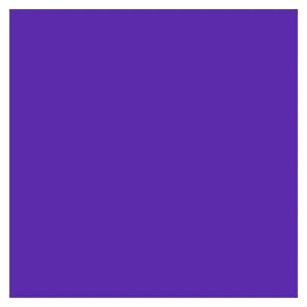 EVA 48X40 ROXO C/10 MAKE+