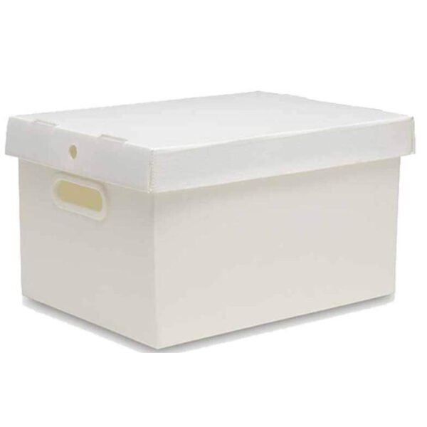 CAIXA ORGANIZADORA M  NOVA ONDA 18L CRISTAL POLIBRAS - Image 2