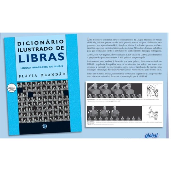 DICIONÁRIO ILUSTRADO DE LIBRAS