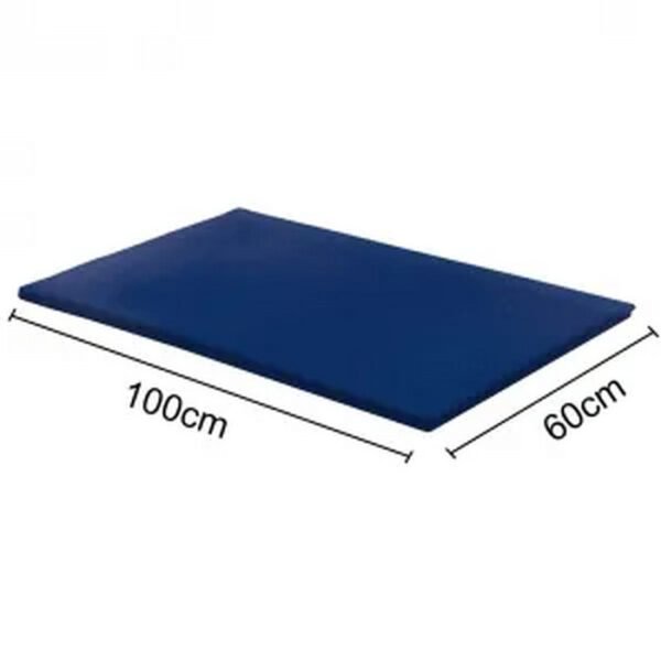 COLCHONETE 100X60X3