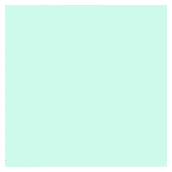 EVA 48X40 VERDE HORTELA C/10 MAKE+