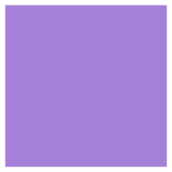 EVA 48X40 LILAS C/10 MAKE+