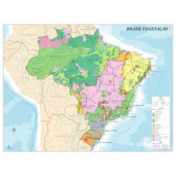MAPA BRASIL VEGETAÇÃO 120X90 BIA MAPAS