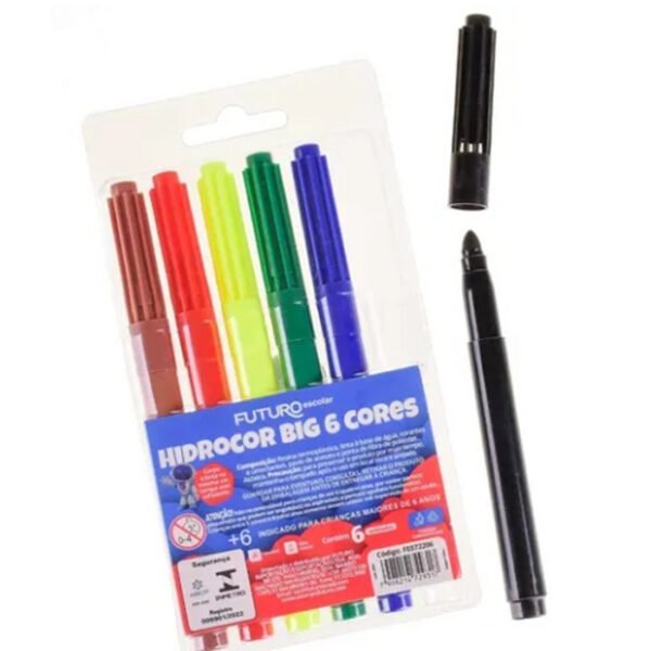 CANETINHA HIDROGRAFICA C/6 CORES FUTURO