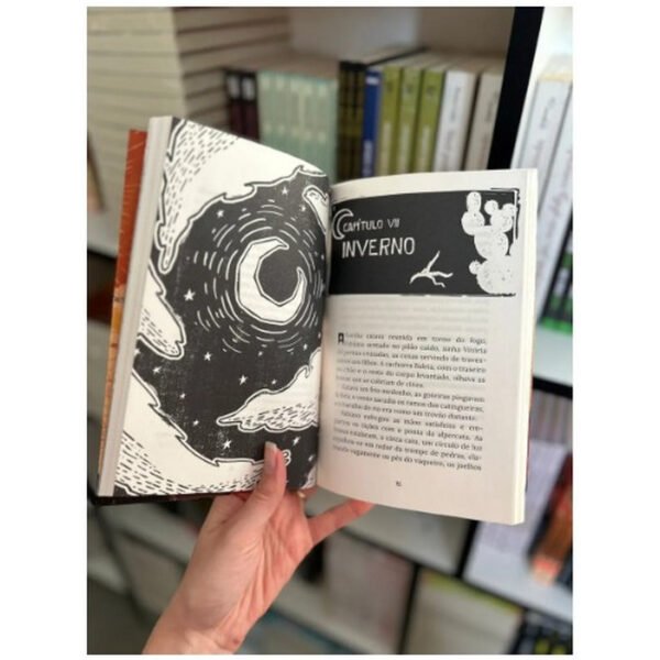 LIVRO VIDAS SECAS - Image 3
