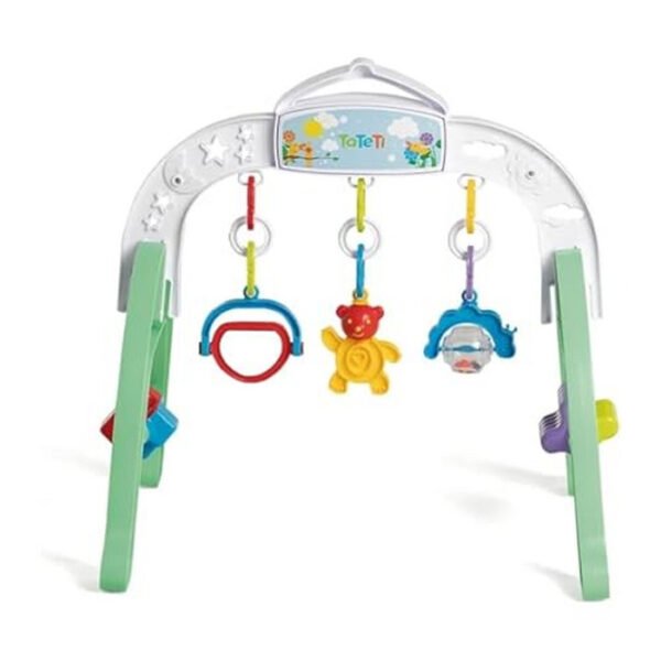 CENTRO DE ATIVIDADES BABY GYM TATETI